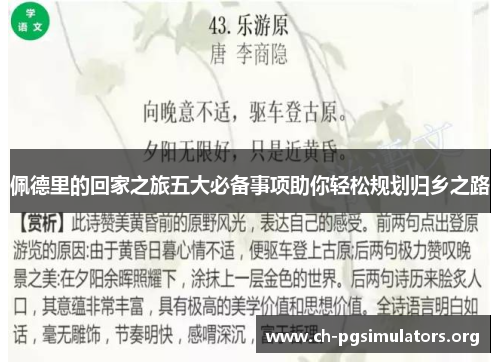 佩德里的回家之旅五大必备事项助你轻松规划归乡之路 佩德里的回家之旅五大必备事项助你轻松规划归乡之路