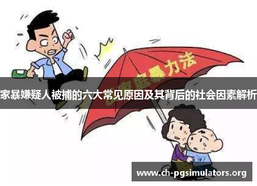 家暴嫌疑人被捕的六大常见原因及其背后的社会因素解析