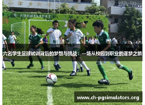 六名学生足球试训背后的梦想与挑战:一场从校园到职业的逐梦之旅 六名学生足球试训背后的梦想与挑战:一场从校园到职业的逐梦之旅