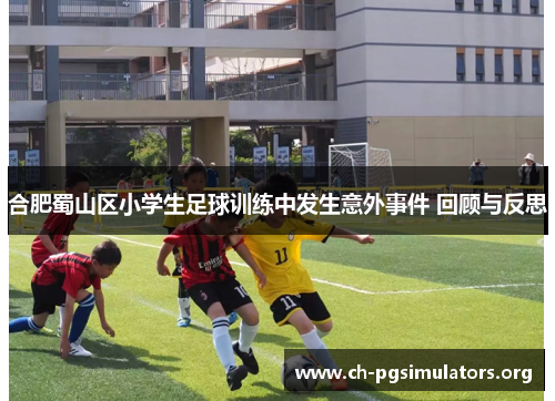 合肥蜀山区小学生足球训练中发生意外事件 回顾与反思 合肥蜀山区小学生足球训练中发生意外事件 回顾与反思