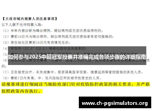 如何参与2025中超冠军投票并准确完成各项步骤的详细指南 如何参与2025中超冠军投票并准确完成各项步骤的详细指南