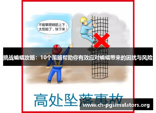 挑战蝙蝠攻略：10个策略帮助你有效应对蝙蝠带来的困扰与风险