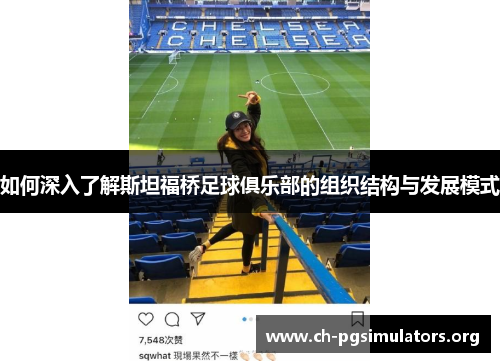 如何深入了解斯坦福桥足球俱乐部的组织结构与发展模式 如何深入了解斯坦福桥足球俱乐部的组织结构与发展模式