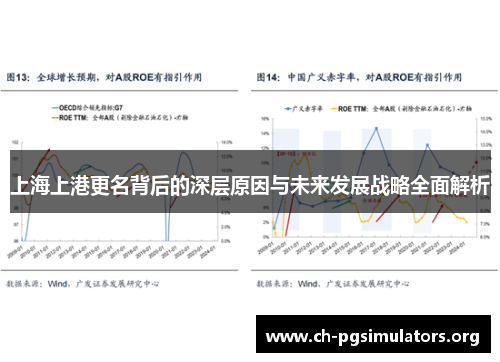 上海上港更名背后的深层原因与未来发展战略全面解析