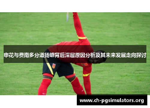 申花与费南多分道扬镳背后深层原因分析及其未来发展走向探讨 申花与费南多分道扬镳背后深层原因分析及其未来发展走向探讨