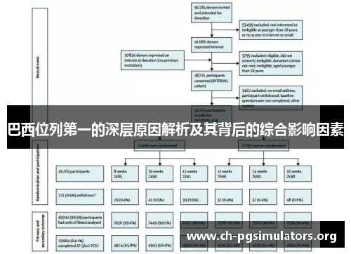 巴西位列第一的深层原因解析及其背后的综合影响因素 巴西位列第一的深层原因解析及其背后的综合影响因素